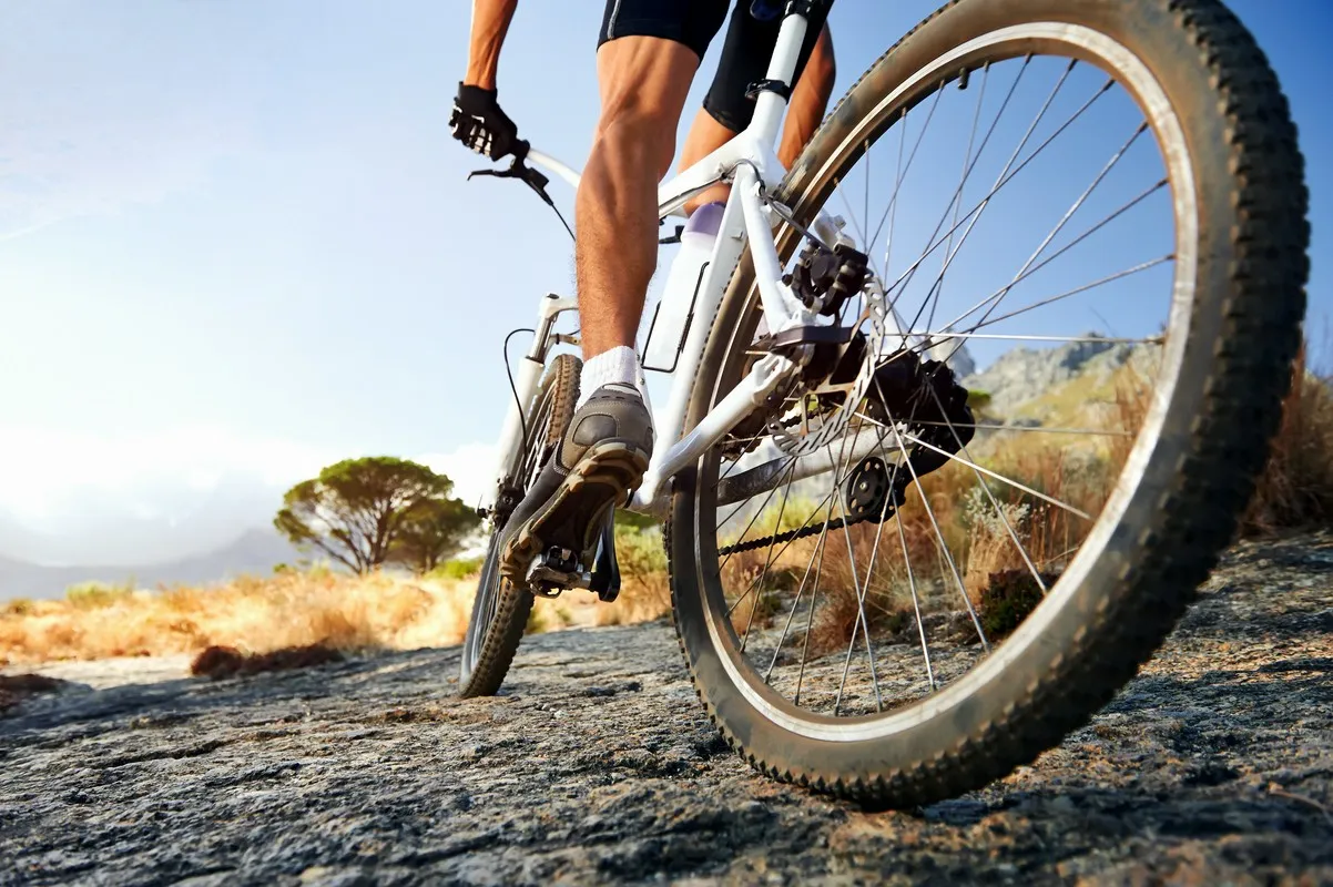 Rower trekkingowy – idealny wybór na każdą nawierzchnię